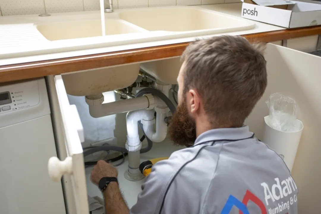 Evandale plumber